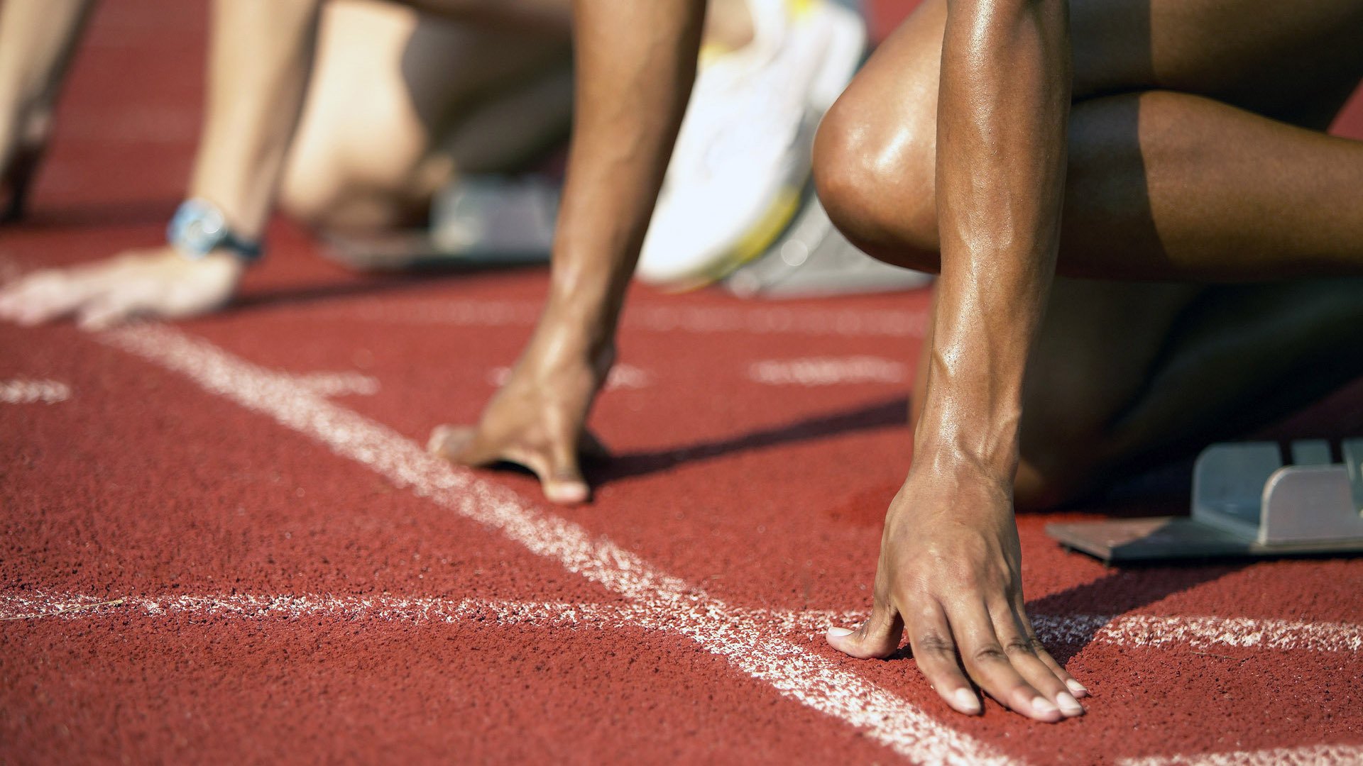 日本骑手铃木明在2024年亚洲马术锦标赛中与“风暴”马匹共同夺金，展现默契配合。